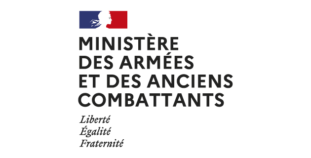 INSIGNE FRANCE LIBRE FORCES FRANCAISES LIBRES FFL LOSANGE 1945 ARMEE DE LIBERATION TISSAGE BEVO