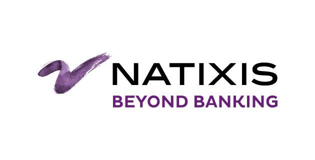 logo vectoriel Natixis