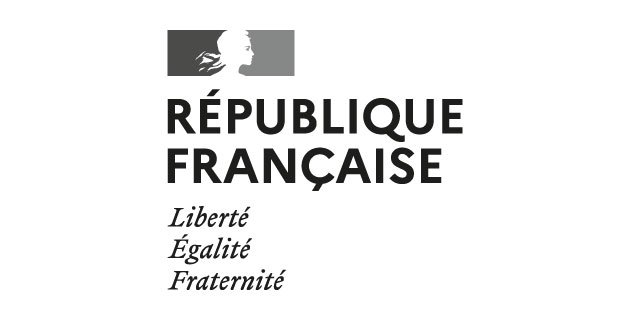 logo vectoriel Gouvernement de la République française – Logothèque ...