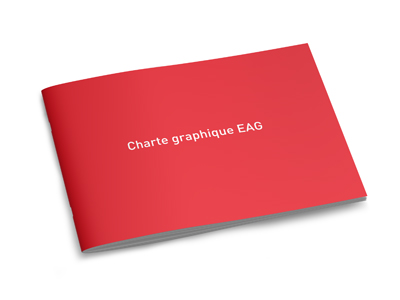 En Avant de Guingamp charte graphique