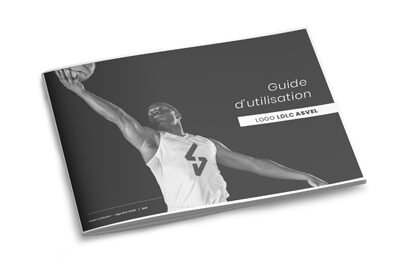 LDLC Asvel charte graphique