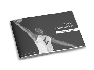 LDLC Asvel charte graphique
