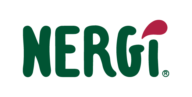 logo vectoriel Nergi