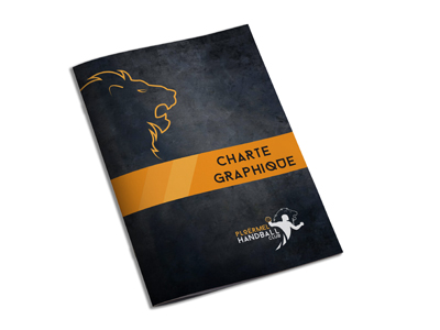 Ploërmel Handball Club charte graphique